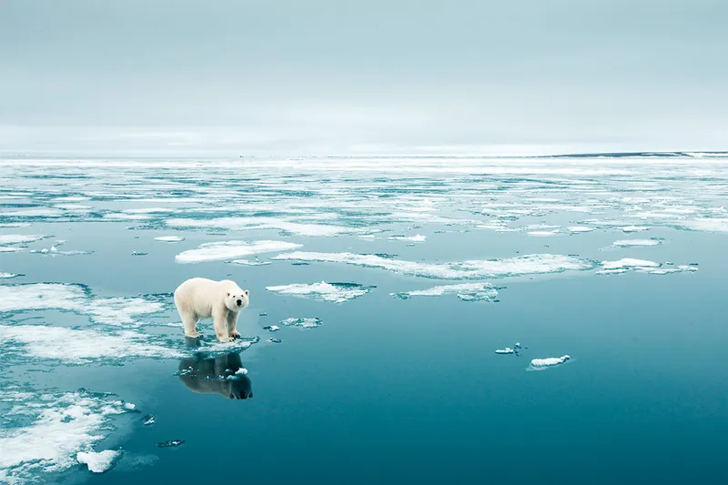 Wie beeinflussbar ist die Haltung zum Klimawandel?
