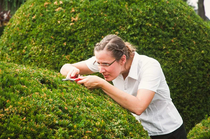 Zeigen perfektionistischere Personen auch eher Anzeichen von Essstörungen?